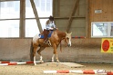26-ApHC GT_200